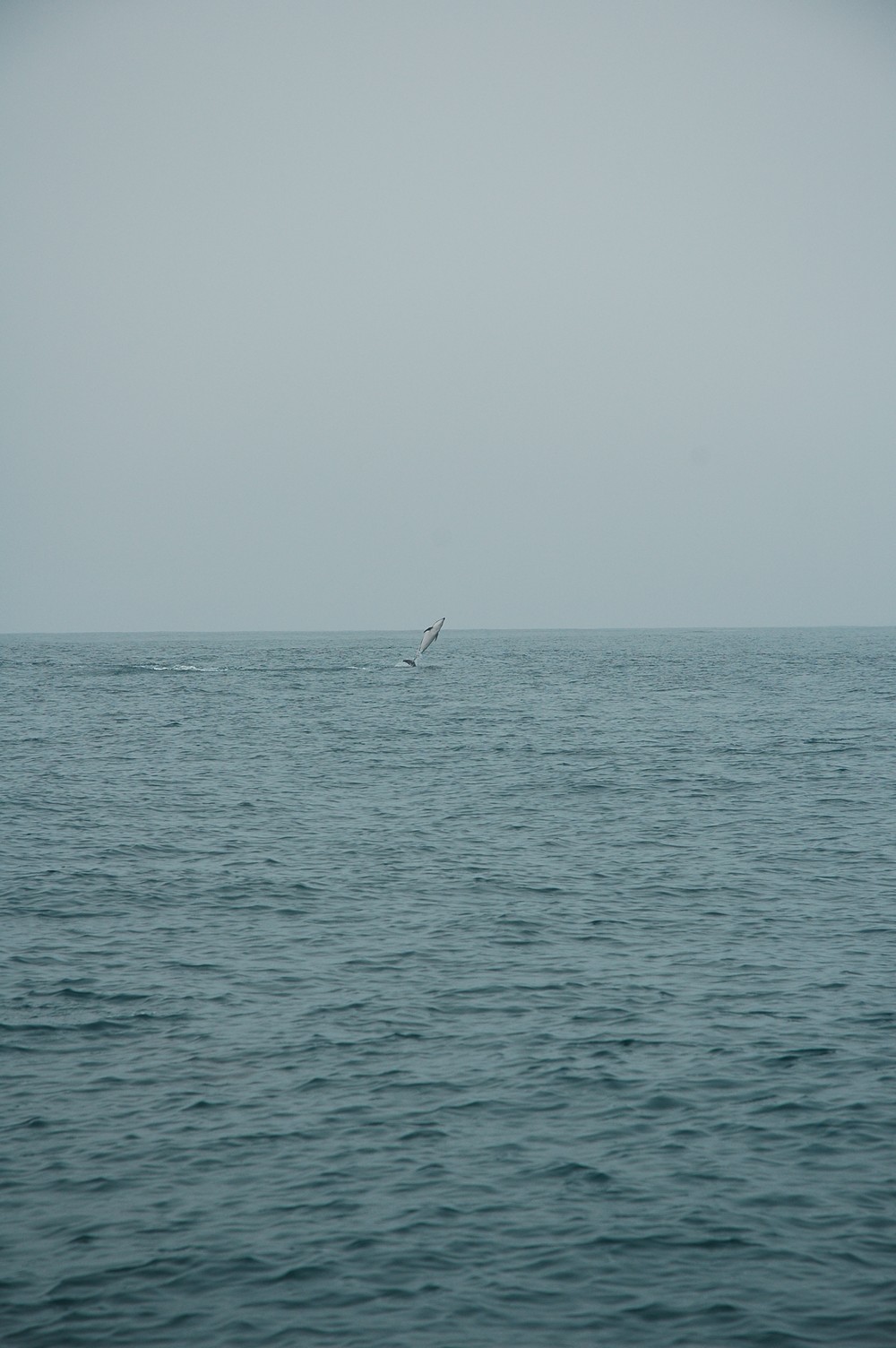 219   30 01   Kaikoura